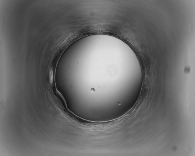 X0000098190021200805011134