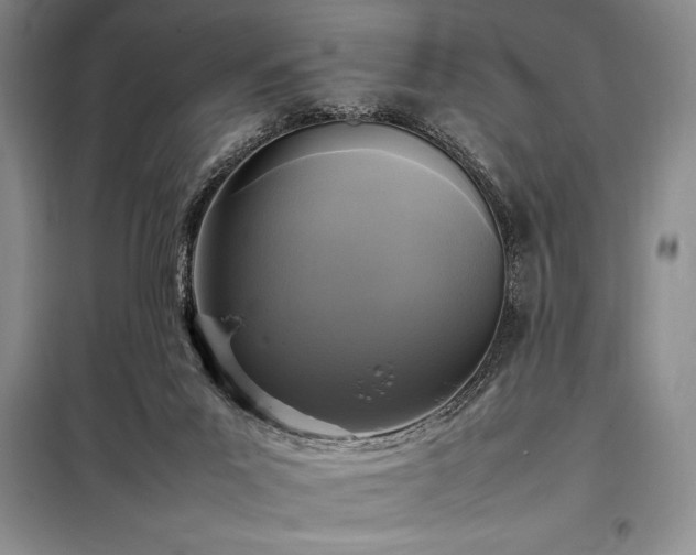 X0000098190023200805011134