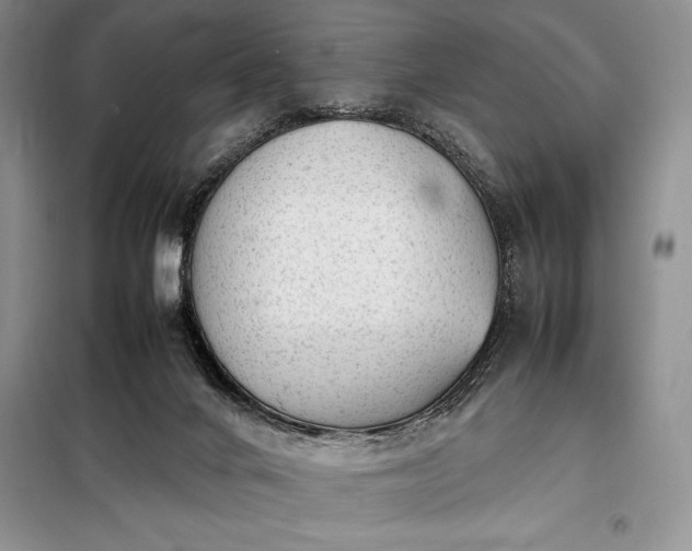 X0000098190024200805011134
