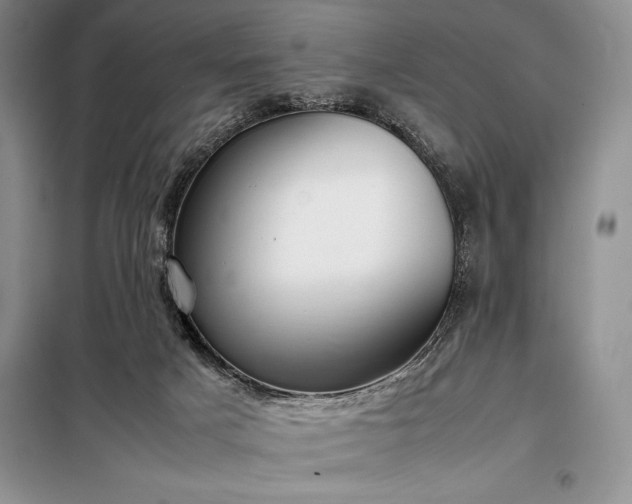 X0000098190025200805011134