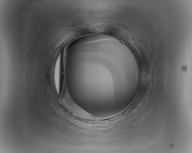 X0000098190027200805011134