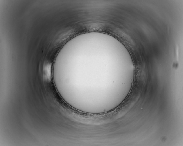 X0000098190028200805011134