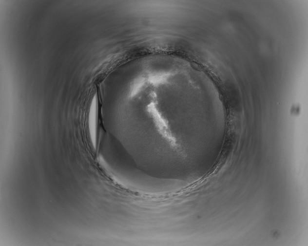 X0000098190029200805011134