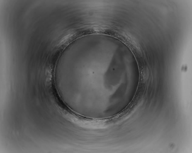 X0000098190032200805011134