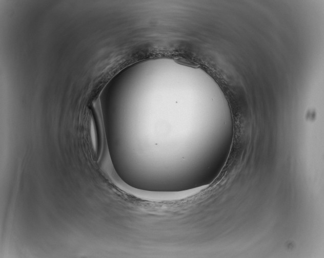 X0000098190033200805011134