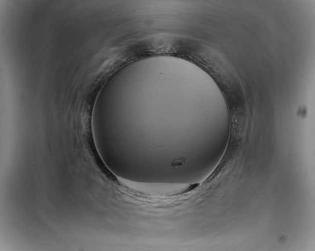 X0000098190035200805011134