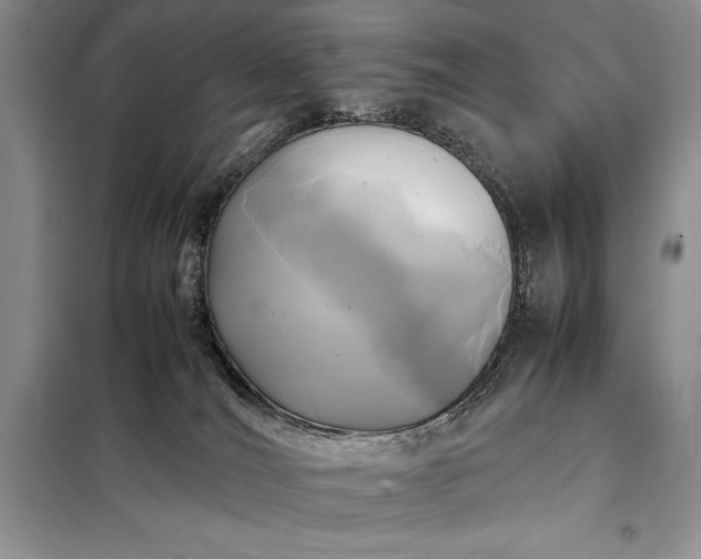 X0000098190036200805011134