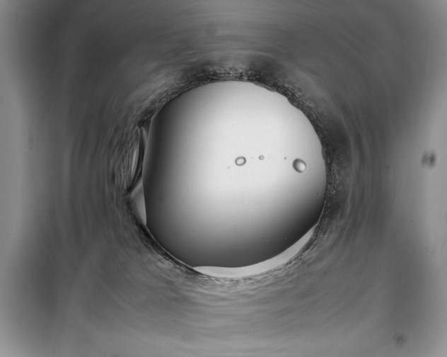 X0000098190037200805011134