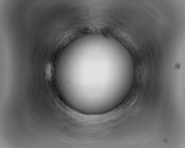 X0000098190038200805011134