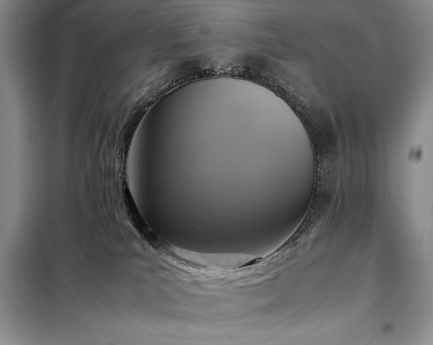 X0000098190039200805011134