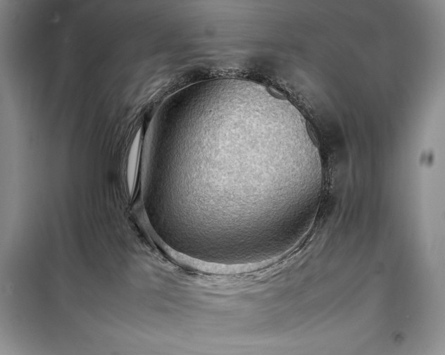 X0000098190041200805011134