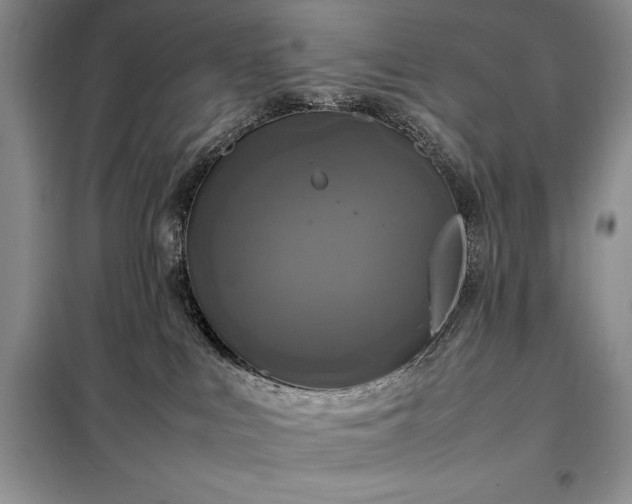 X0000098190043200805011134