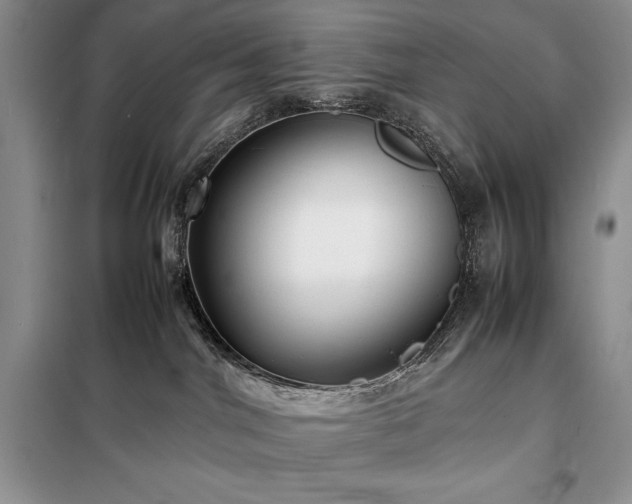 X0000098190044200805011134