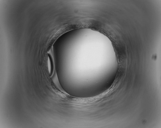 X0000098190045200805011134