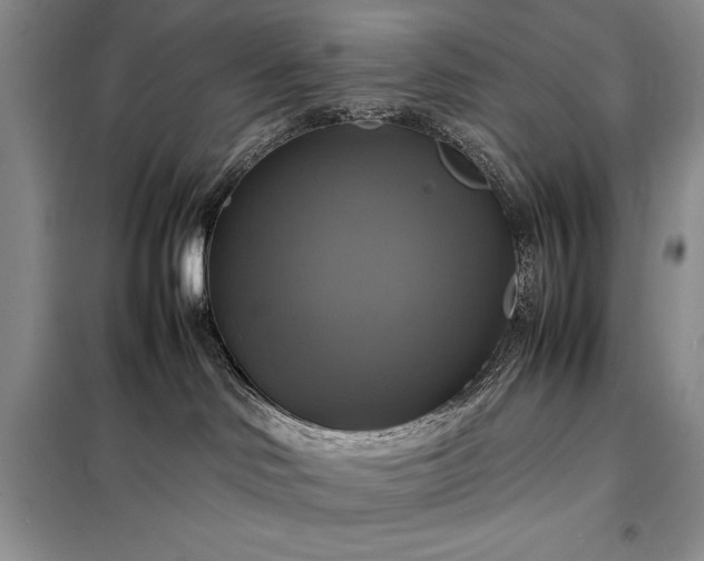 X0000098190046200805011134