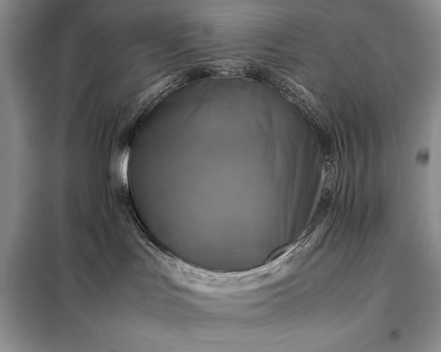 X0000098190047200805011134