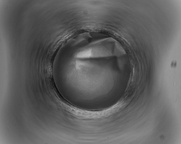X0000098190048200805011134