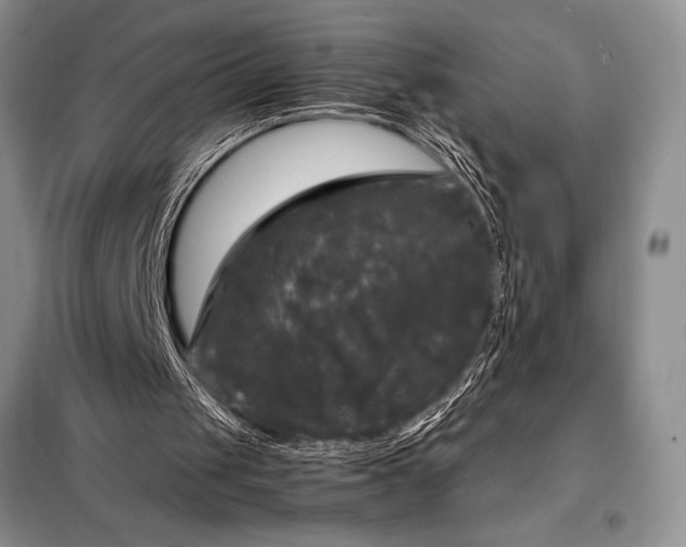 X0000098190049200805011133