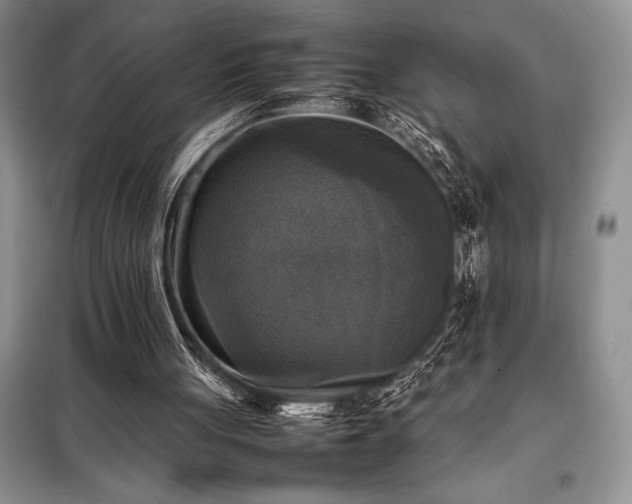X0000098190051200805011133