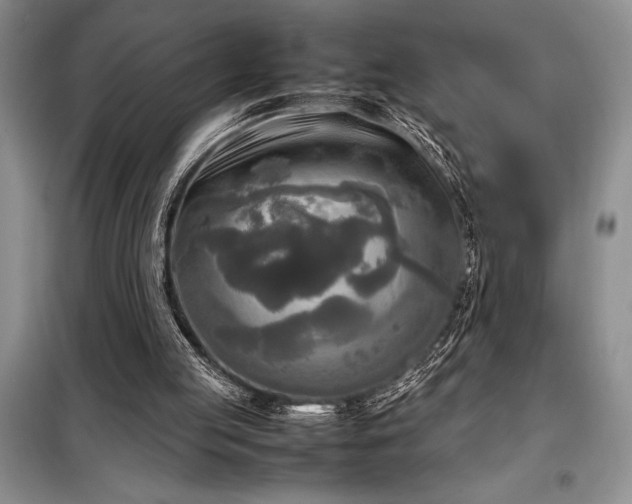 X0000098190053200805011133