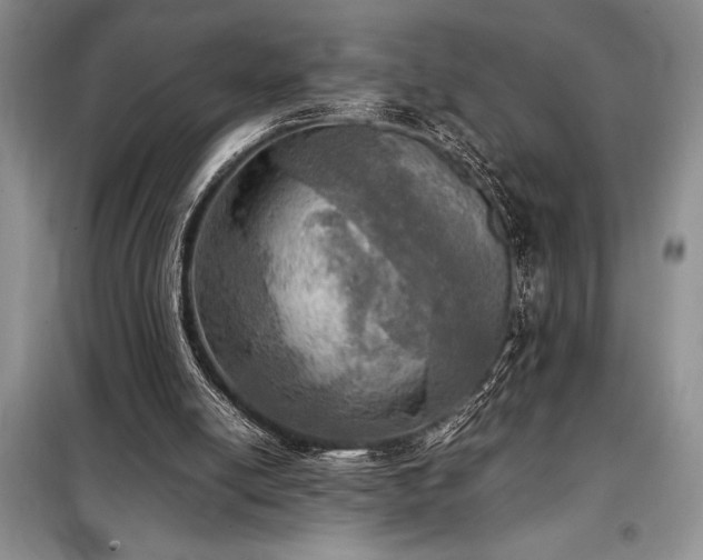 X0000098190054200805011133