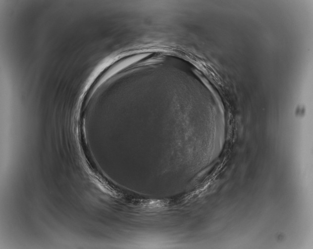 X0000098190056200805011133