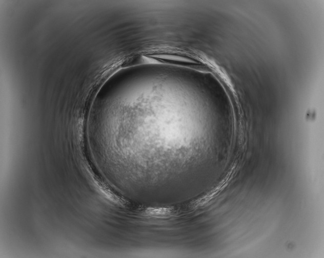 X0000098190057200805011133