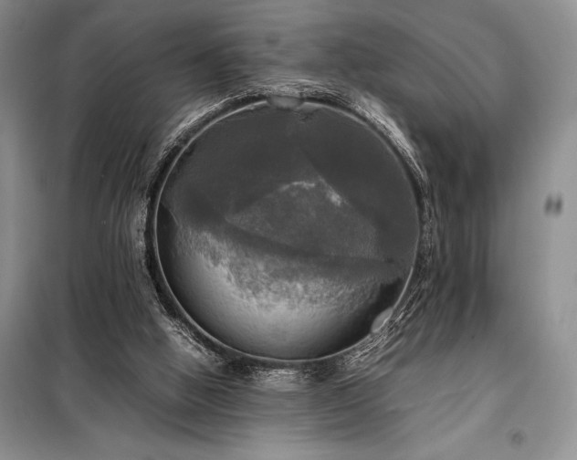 X0000098190058200805011133