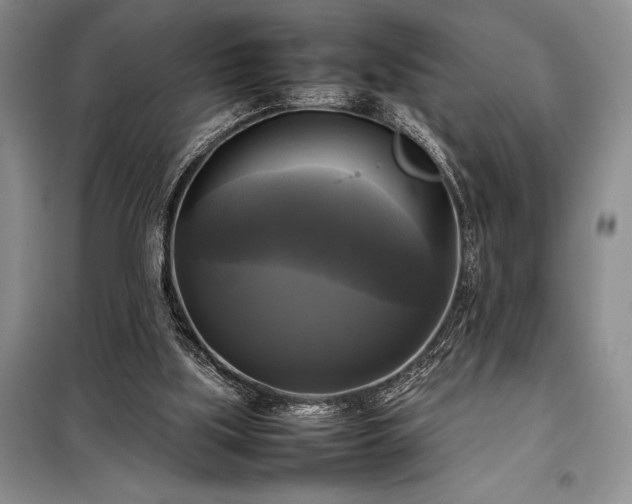 X0000098190059200805011133