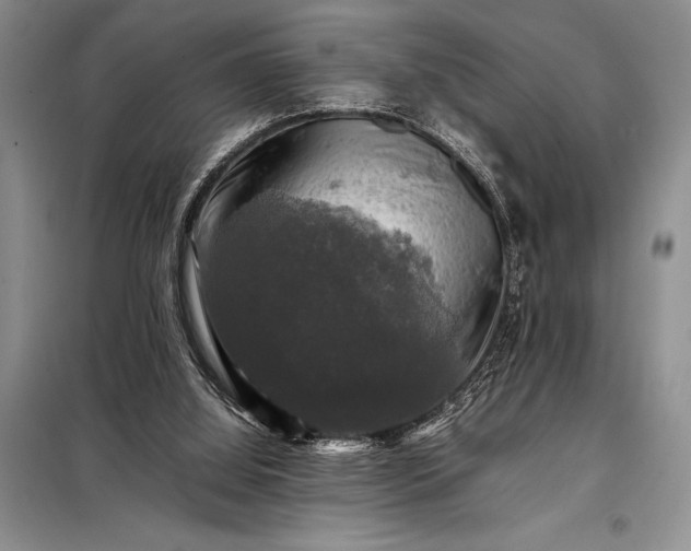 X0000098190060200805011133