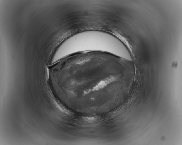 X0000098190061200805011133