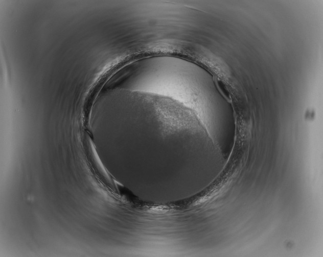 X0000098190064200805011133
