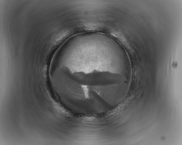 X0000098190066200805011133