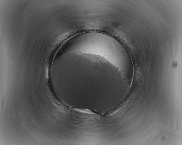 X0000098190068200805011133