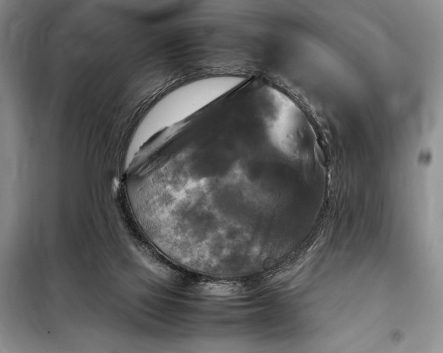 X0000098190069200805011133