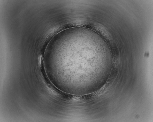 X0000098190070200805011133