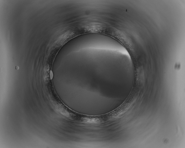 X0000098190073200805011133