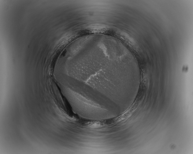 X0000098190074200805011133