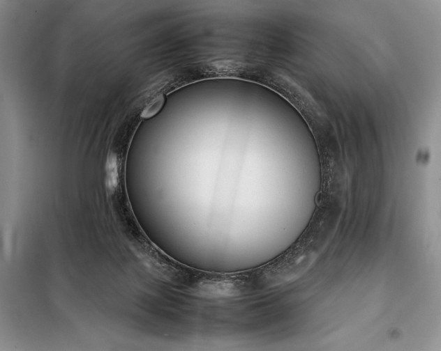 X0000098190075200805011133
