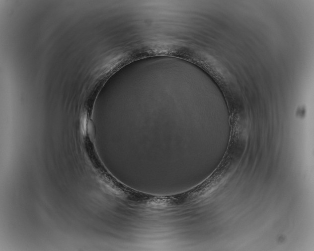 X0000098190076200805011133