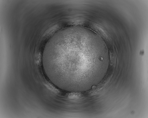 X0000098190077200805011133
