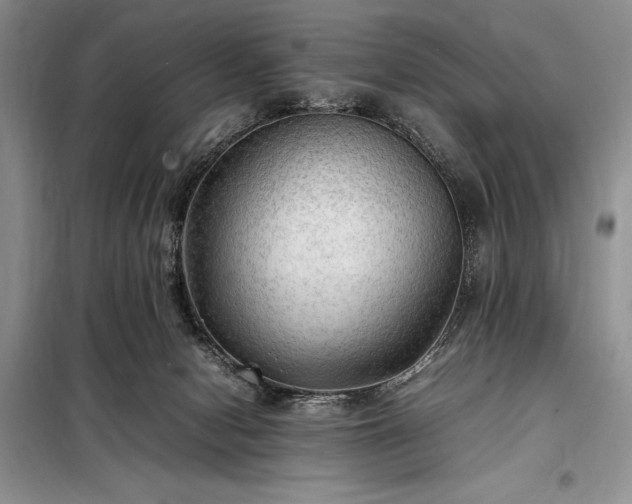 X0000098190078200805011133
