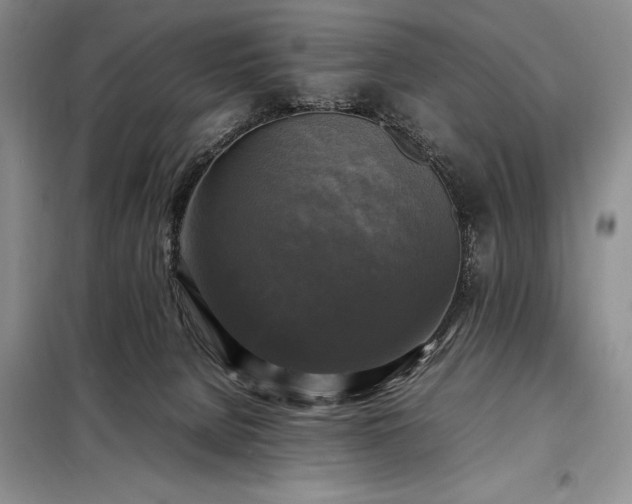 X0000098190080200805011133