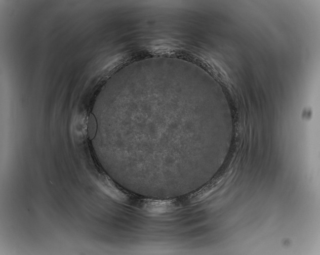 X0000098190081200805011134