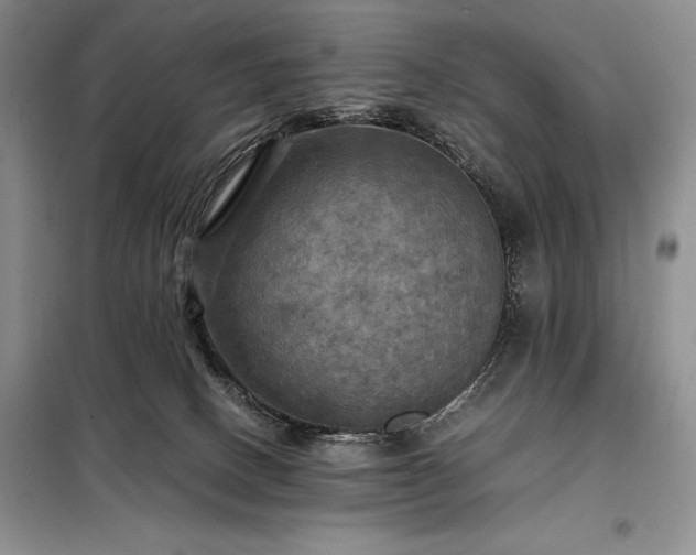 X0000098190082200805011134