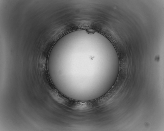 X0000098190083200805011134
