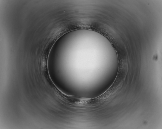 X0000098190084200805011134