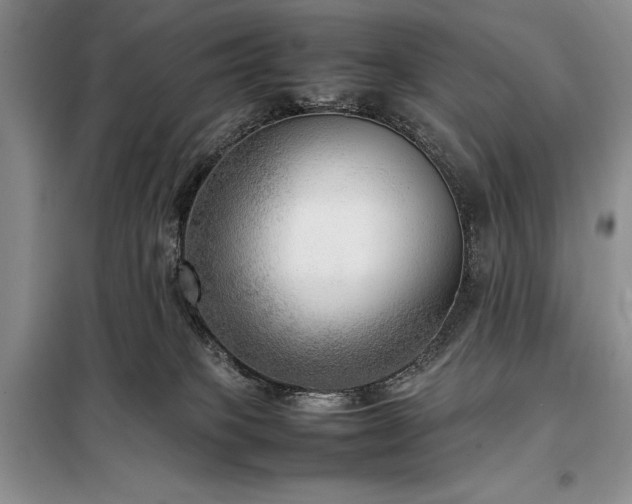 X0000098190085200805011134