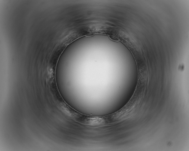 X0000098190087200805011134