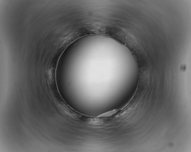 X0000098190088200805011134